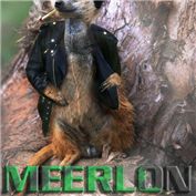 meerlon brando — stinkobinko