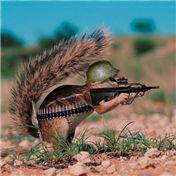 Killer Squirrel — Photon