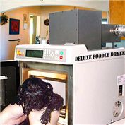Poodle Dryer — Gonzo