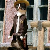 Sheriff — Cj