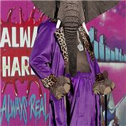 Pimpin` Large — robayer