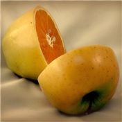 apple orange — eminavn