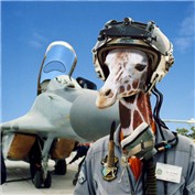 giraffighter — machine05