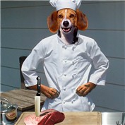 Dog Chef — misstrixie