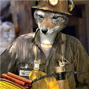 Animal Dayjobs 2