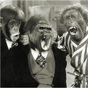 The 3 Stooges — HooskerRoo