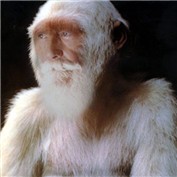 Abominable Snowman — callahank