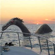 Cadborosaurus willsi — ARagMan