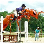 Ant Showjumping — Nitehawk