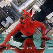 Mate a Movie 2