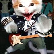 Animal Dress Up 5