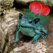 Ivysaur — mayfae