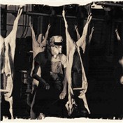 3 little pigs — Bishopfire