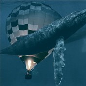 Hot Water Balloon — GraafVanFoto