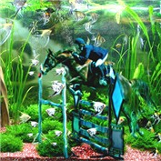 horse under water — Pozmix