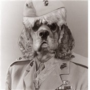 a dog in uniform — Koosricardo