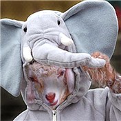 I want to be an elephant — UPUPUP