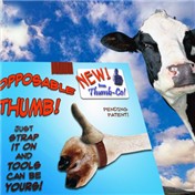 ThumbCo — WhoElse