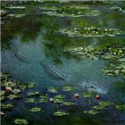 Monet Alligator — bingobaby