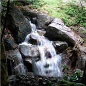 Face In The falls — Terrence