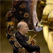 hipythotuba — bobblainey