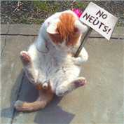 neutered — JonJonLeprechaun