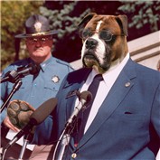 Dog politician — external