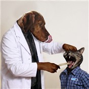 Doctor Dog — Anabole