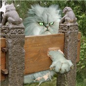 gotcha! — geldkobra