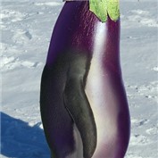 Pengegguin — heli0s2012