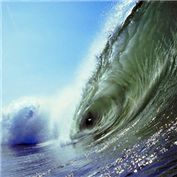 Big Fish — Kryptomaniacle