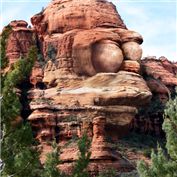 Homer Rock — sunr33