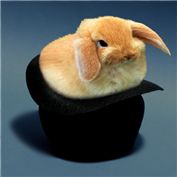 Chubby Bunny — martysalgs