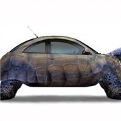 VW New Turtle — RooK