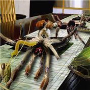 Insects Get The Payback — Deschain420