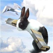 Chop A Bunny