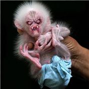 Evil Animals 6