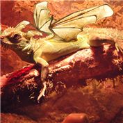 Green Dragon — Penywise