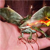 Baby Dragon Simon — Deschain420