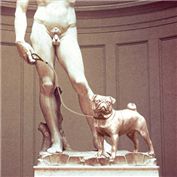 David and his dog — stephswartz