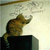 Help me!! — MataleoneRJ