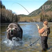 Grizzly Fishin — ozplasmic