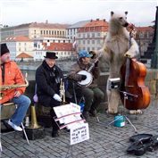 Bear Bass — FlyingWalrus