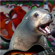 Rockin Seal — zaheersc