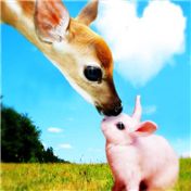 Kiss — Pepito7