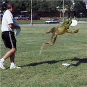Frog Discing — The_Juiceman