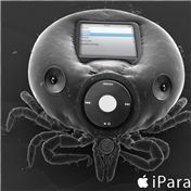iParasite — Zatchmo