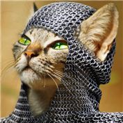 Club Medieval