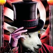 Wooly Wonka — Sassydeb