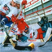 Sweet Hockey — Buurman